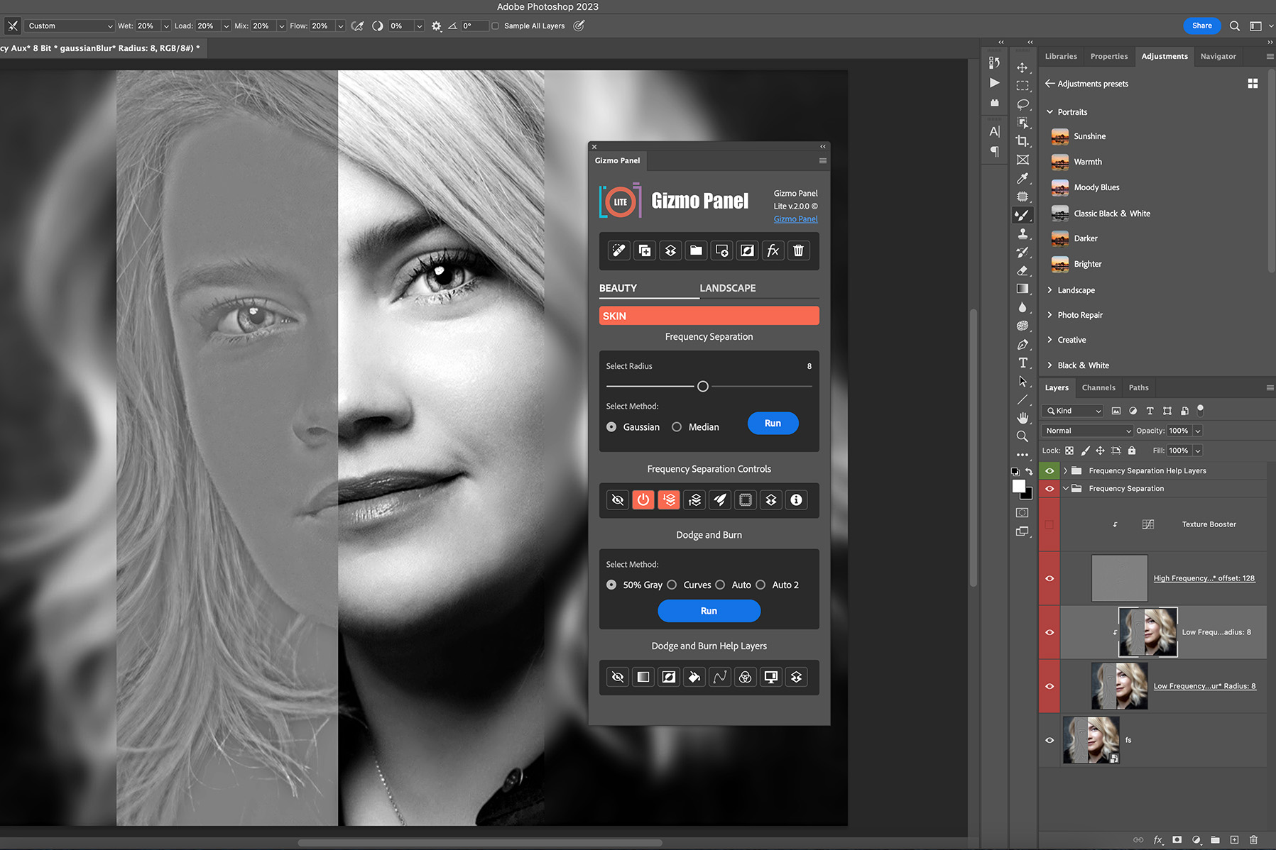 Screenshot of using Gizmo Panel Lite to edit a portrait with frequency separation